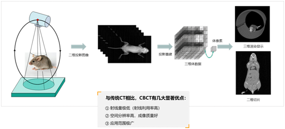 新澳门网,经典解答解释定义_CT53.498