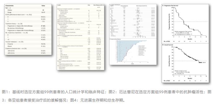 新一代医用装置精准打击肿瘤 受试者5年生存率大增至64.04%