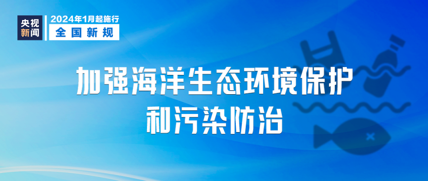 新澳2024正版资料免费公开,正确解答落实_6DM83.885