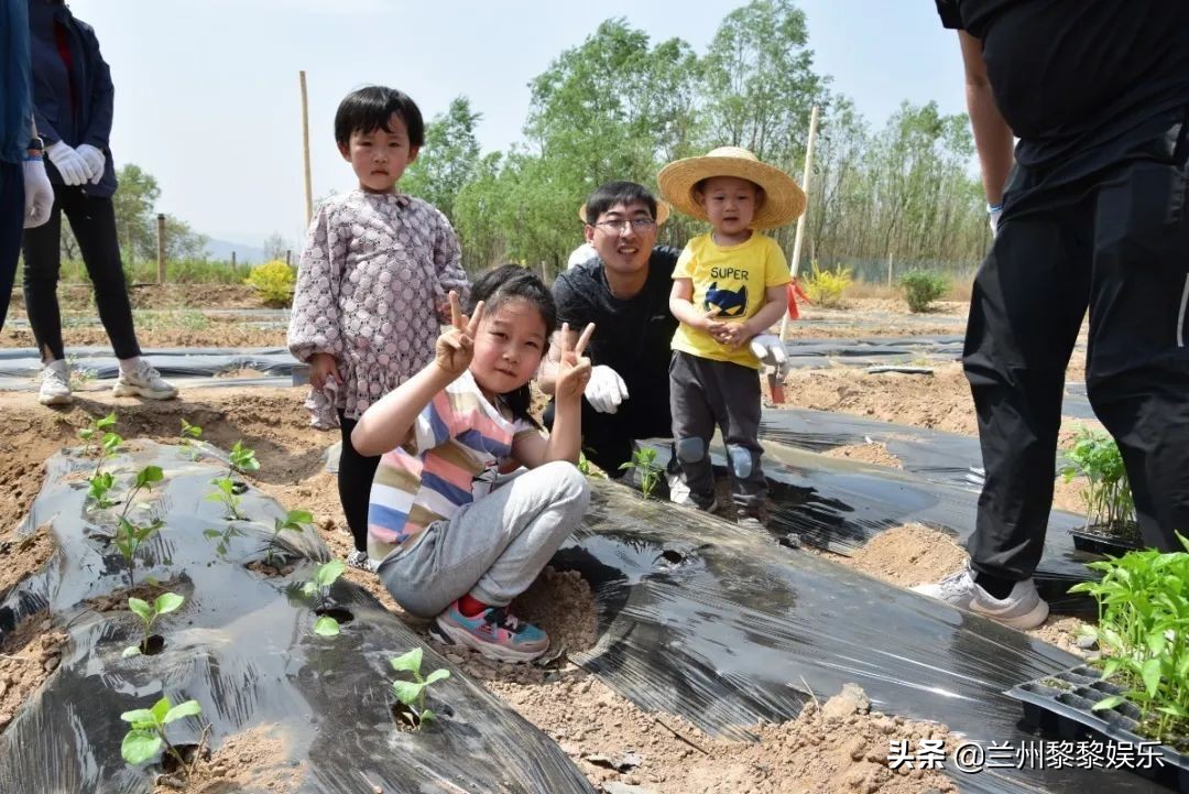 共享菜园经营主称一百多块地年年爆满