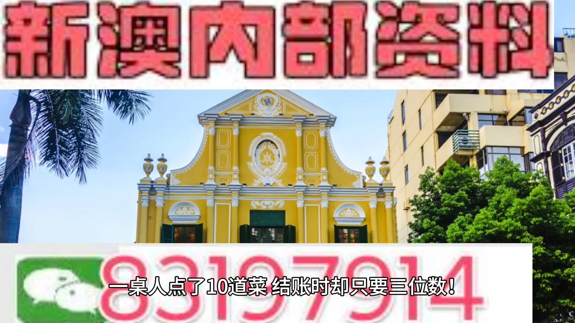 新澳门天天资料,效率资料解释定义_升级版67.392