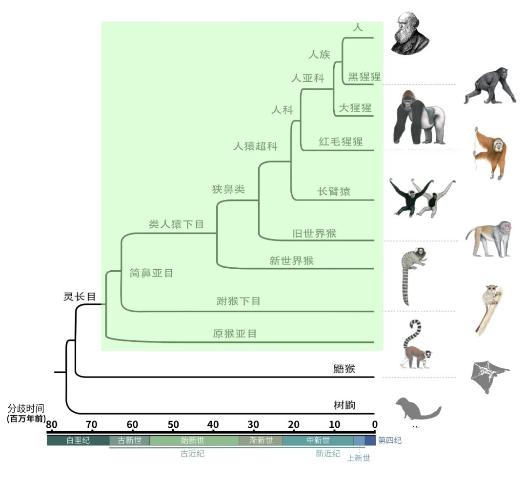 浙大本科生与其教授母亲同发论文