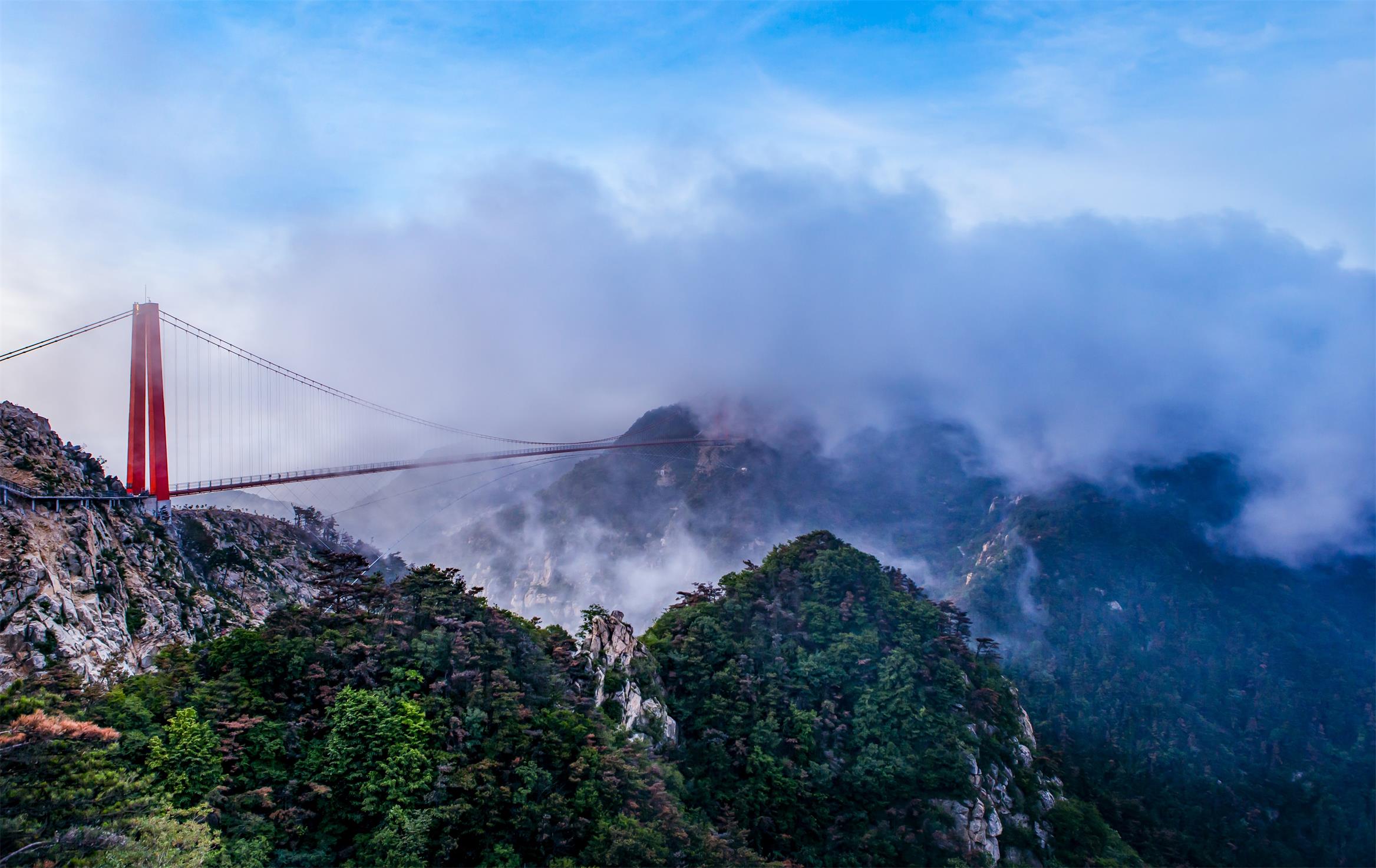 律师谈游客烧大牯牛山