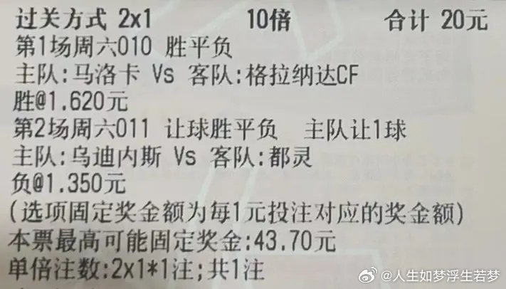 4033333大家发一肖免费公开,专家意见解释定义_顶级款28.94