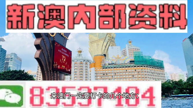 新澳门精准免费大全,动态调整策略执行_黄金版68.891