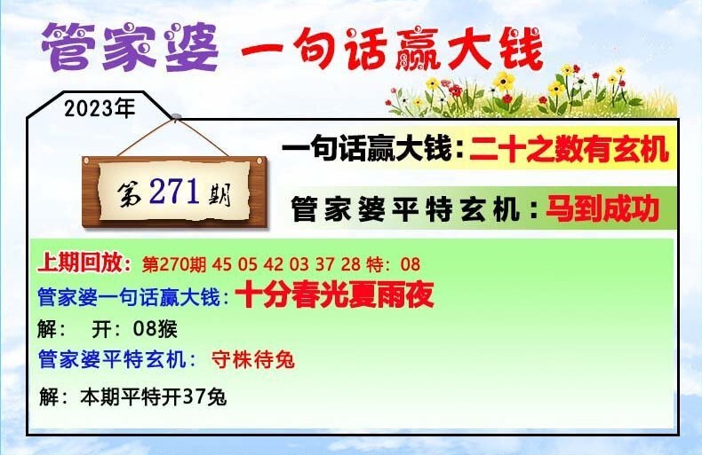 2020管家婆一肖一码,全面解答解释落实_SHD78.604