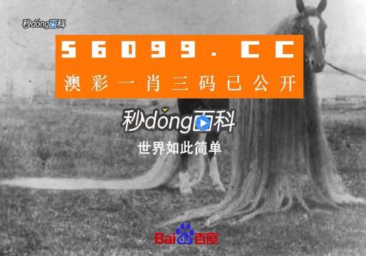 澳门一肖一码一必中一肖同舟前进,数据支持执行策略_eShop57.876