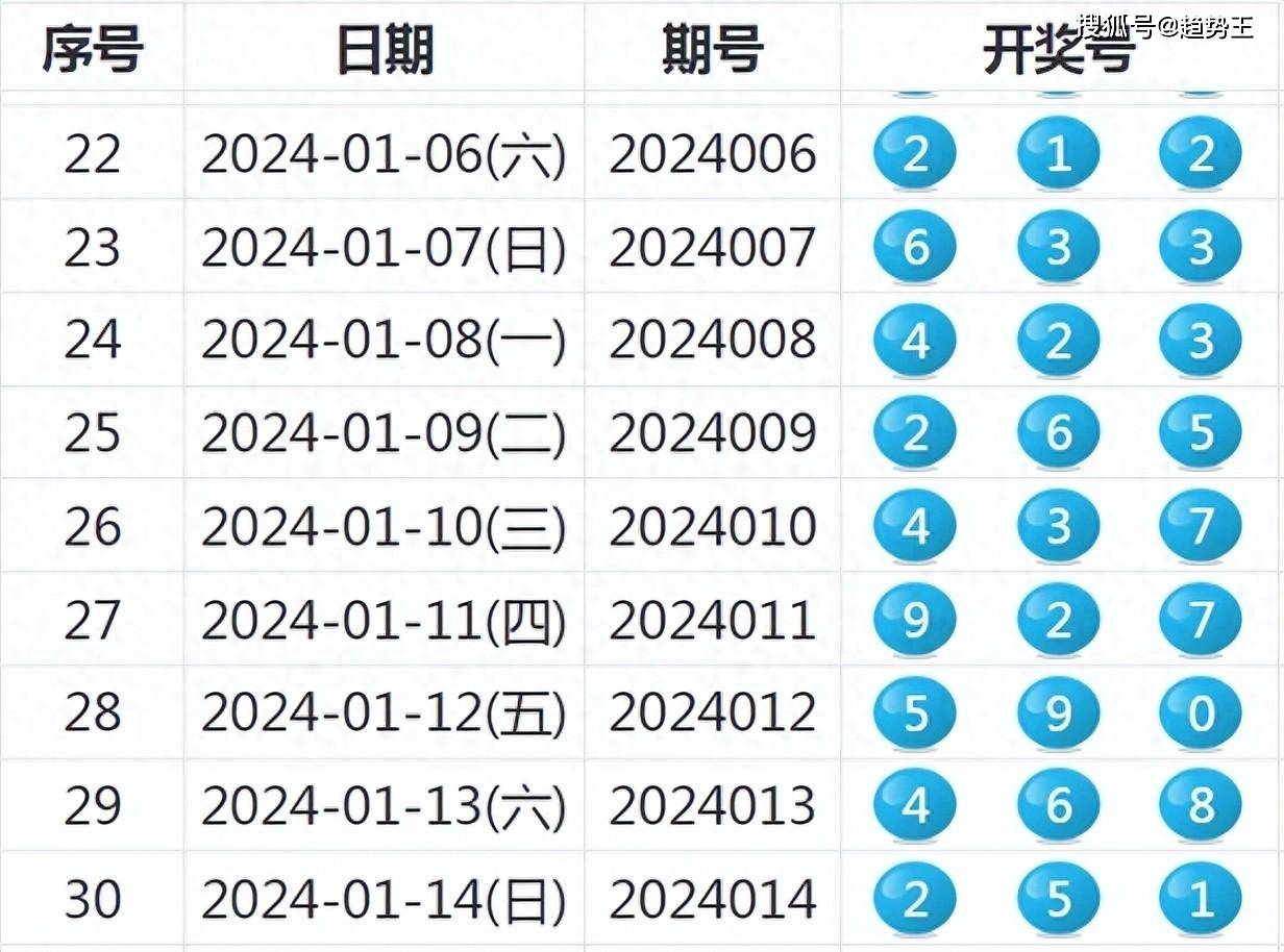 开奖结果开奖记录2024,深入数据执行方案_GM版83.235