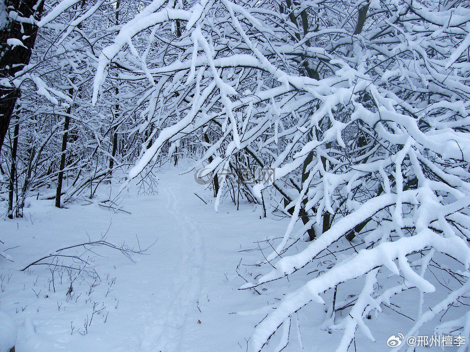 东北局地降雪量“发紫”