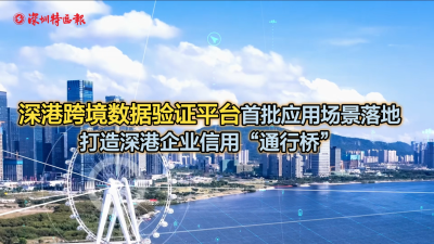 新澳天天开奖资料大全最新5,实地应用验证数据_D版97.56