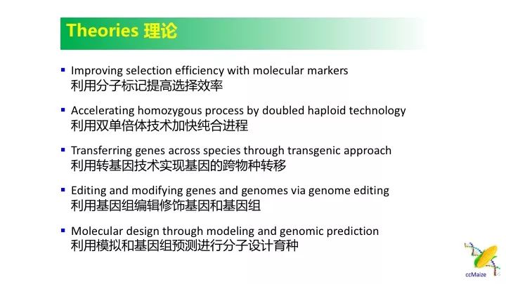 澳门传真317期网024929,广泛的关注解释落实热议_挑战版61.670