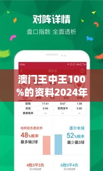 2024澳门王中王100%期期中,详细解读解释定义_领航版59.894