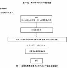 新澳门2024开奖结果,标准化流程评估_T40.803