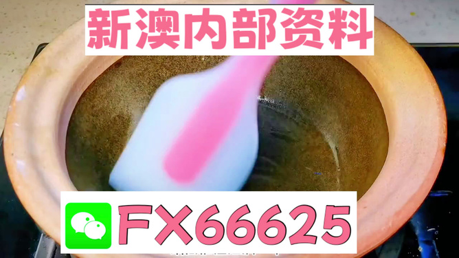 新澳精准资料免费提供208期,动态解析词汇_试用版80.71