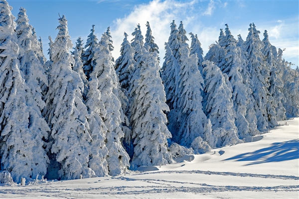 黑龙江鹤岗降雪破纪录