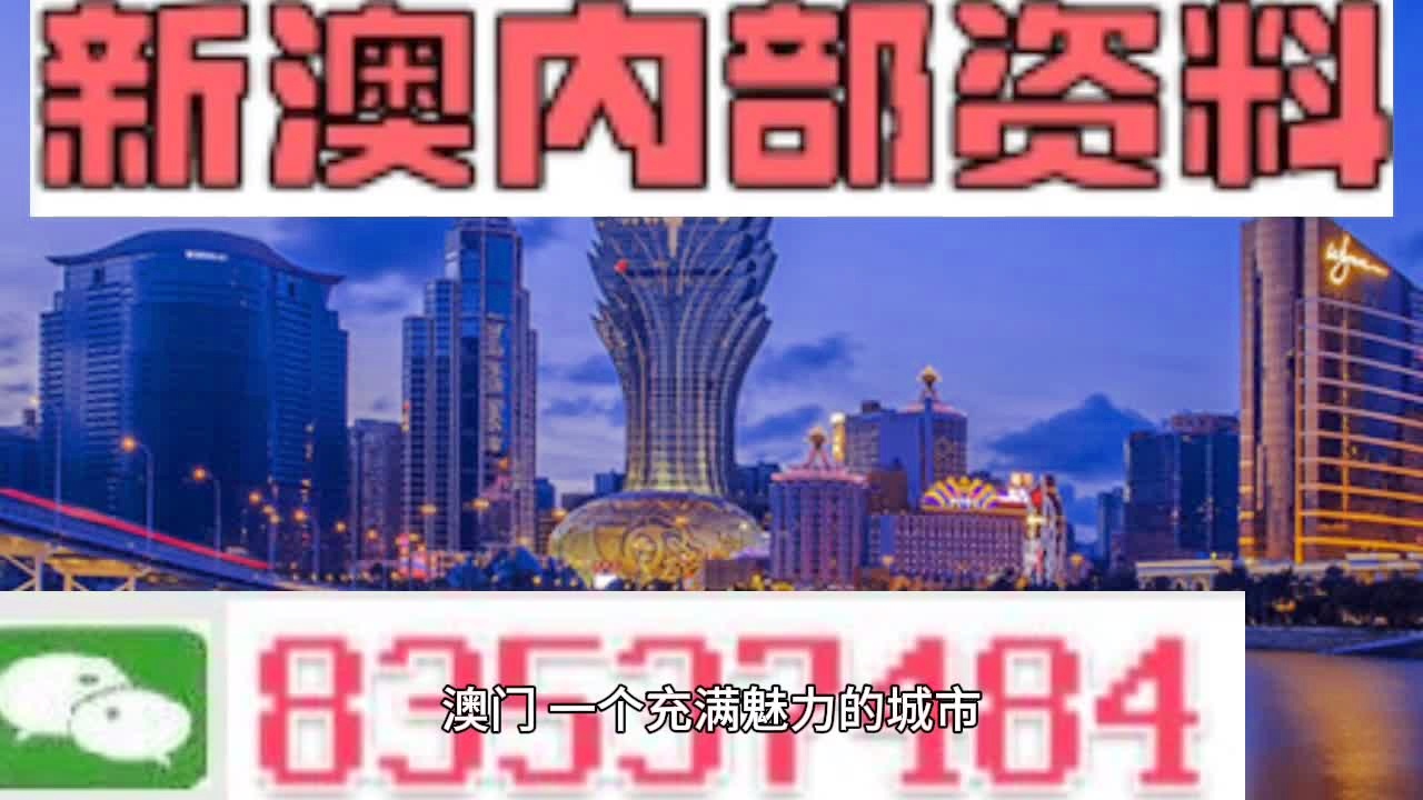 新澳门玄机免费资料,实地数据评估设计_精装款98.889