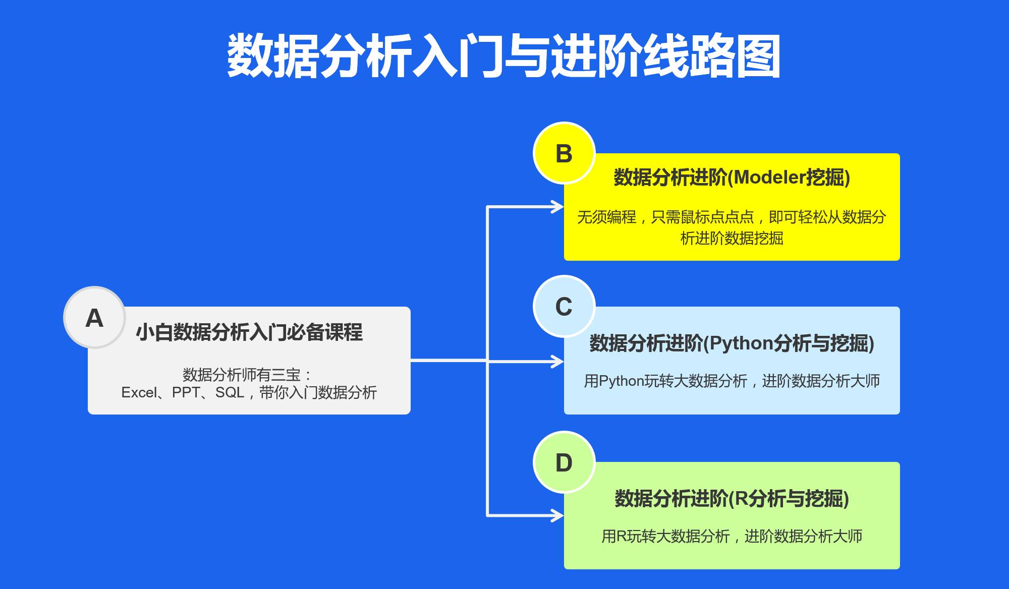 白白发布免费,数据驱动分析解析_特供版50.244