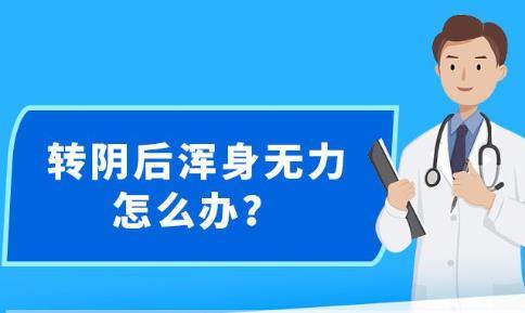 新澳精准资料,实际应用解析说明_Hybrid11.302