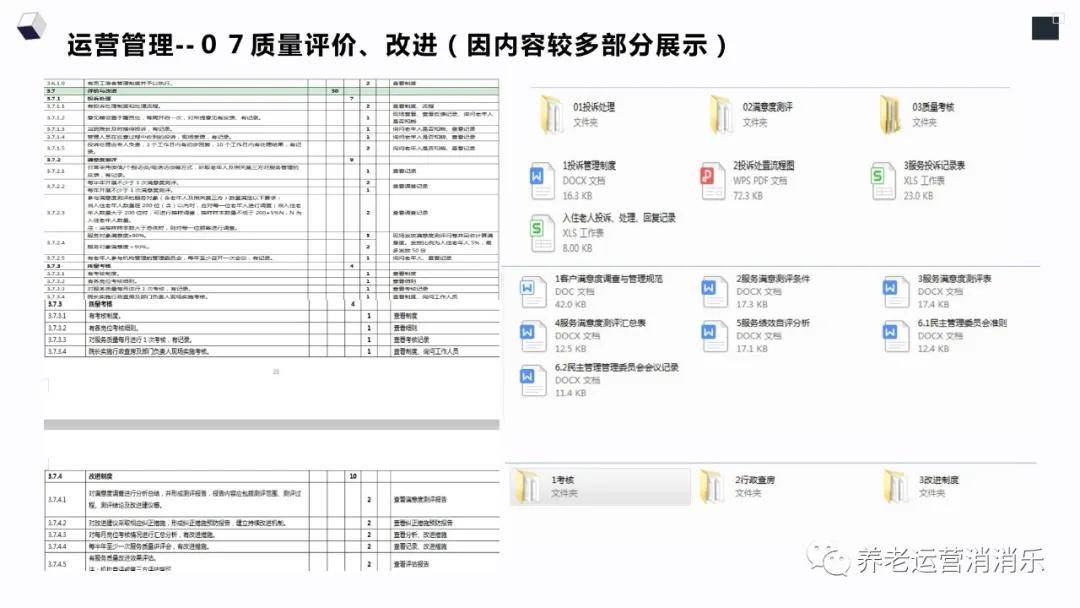 新澳免费资料精准大全,精细化计划设计_Surface51.919