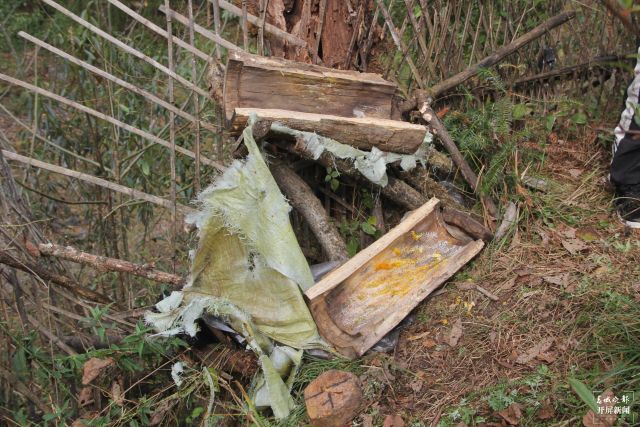 野生动物“肇事” 损失由谁承担？