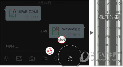 2024管家婆一肖一特,可靠策略分析_iPhone71.829