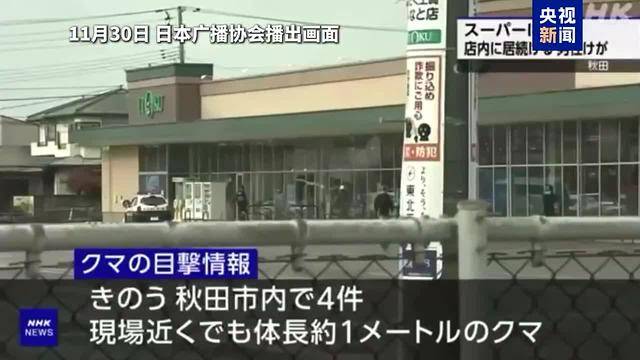 日本超市“熊出没” 2天未被捕获 已有一男员工遭袭