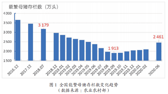 澳门一码一肖一特一中直播结果,实地数据评估策略_挑战版59.121