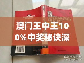 澳门王中王100%期期中,专业分析解析说明_Gold52.276