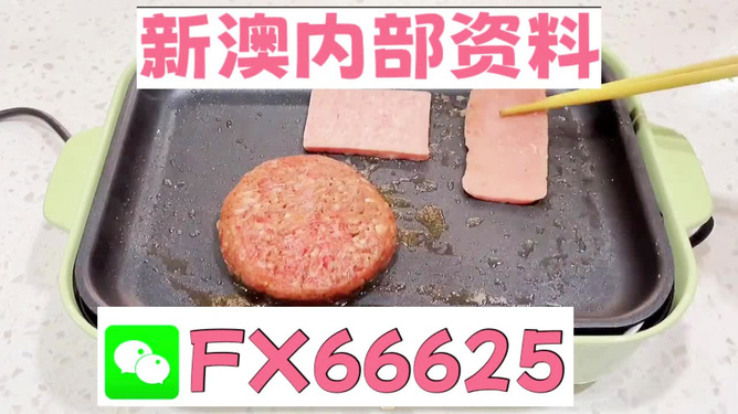 新澳门彩精准一码内,精细分析解释定义_动态版98.304