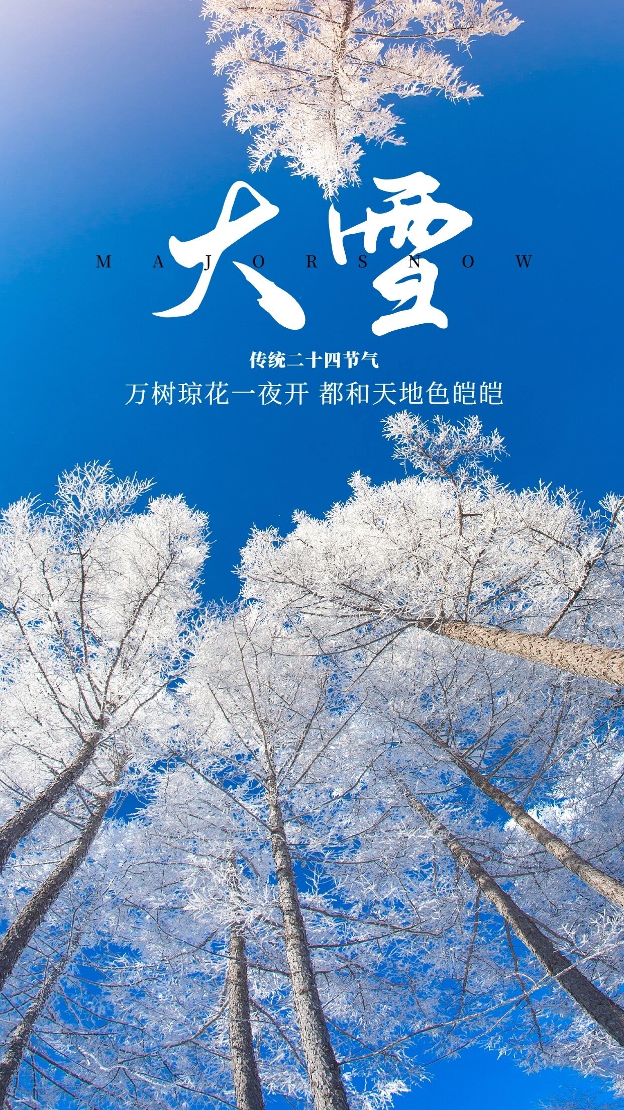 冬日大雪，美与挑战的双重奏