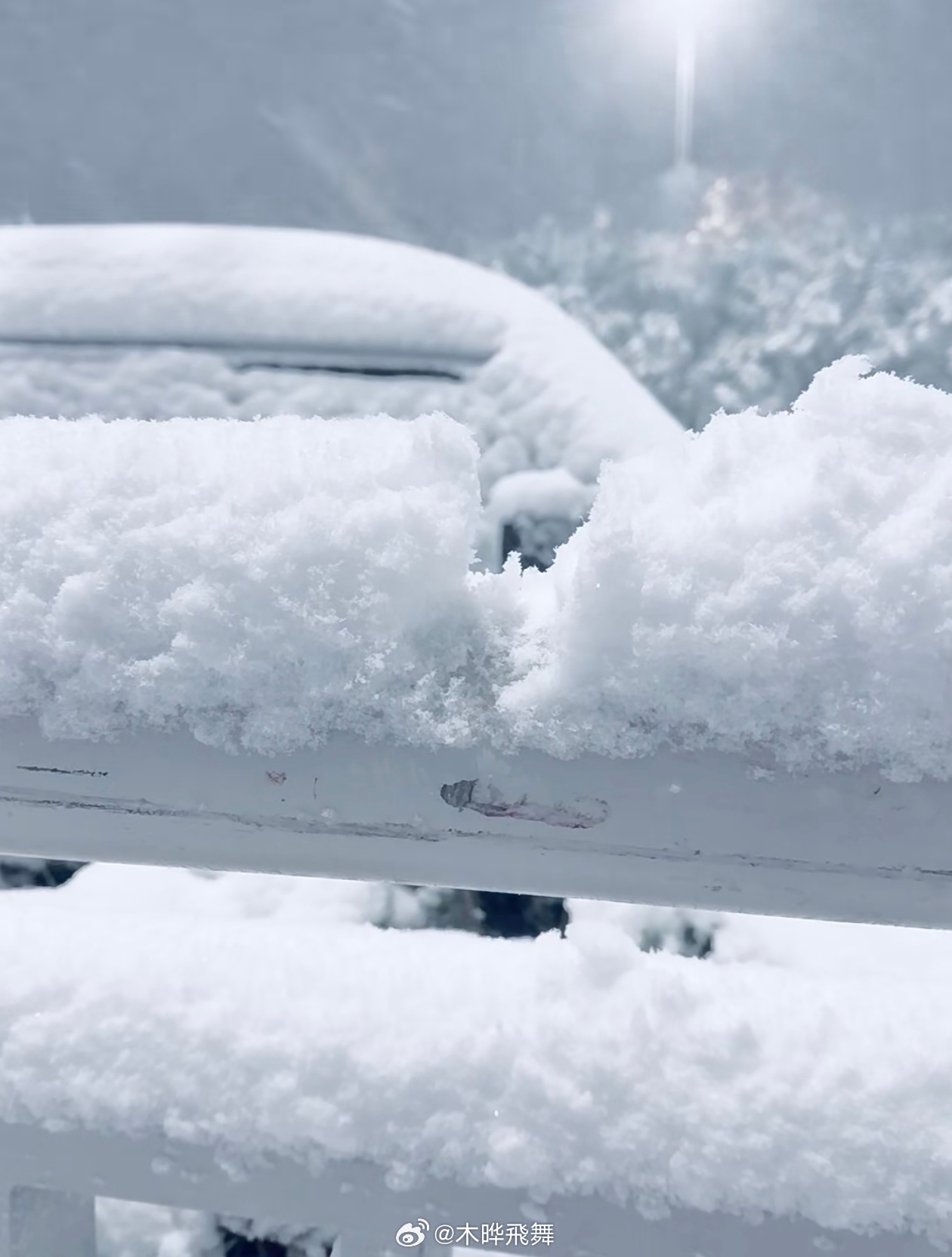 雪中畅想，我最想做的五件事