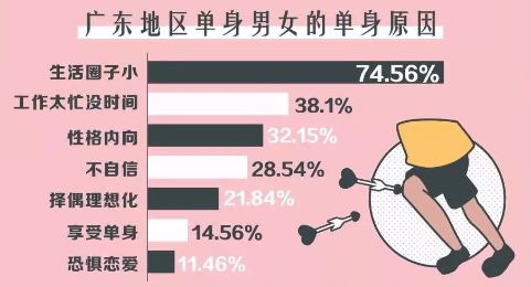 官方回应单身男女信息库背后的真相与影响探讨