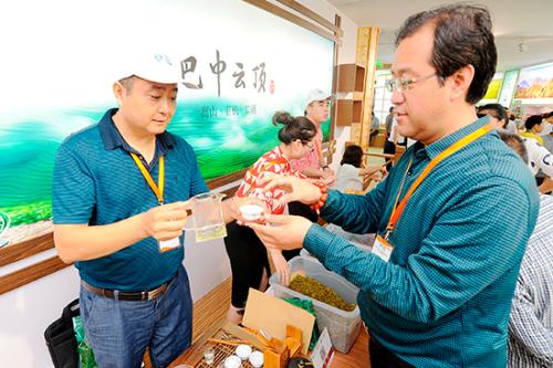 四川引领发展潮流，全国翘楚展风采