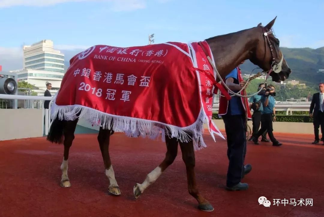 马会香港7777788888,调整方案执行细节_6DM31.138