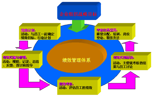 新奥天天彩正版免费全年资料,专业分析解释定义_基础版86.621