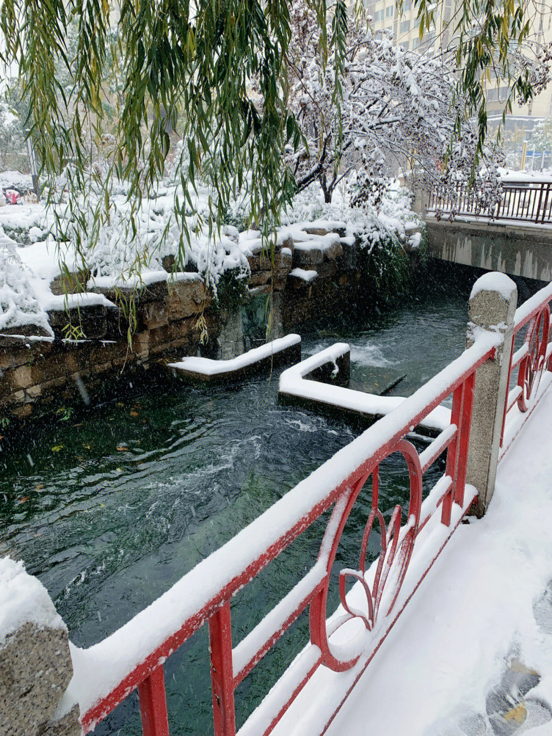 济南雪日美景