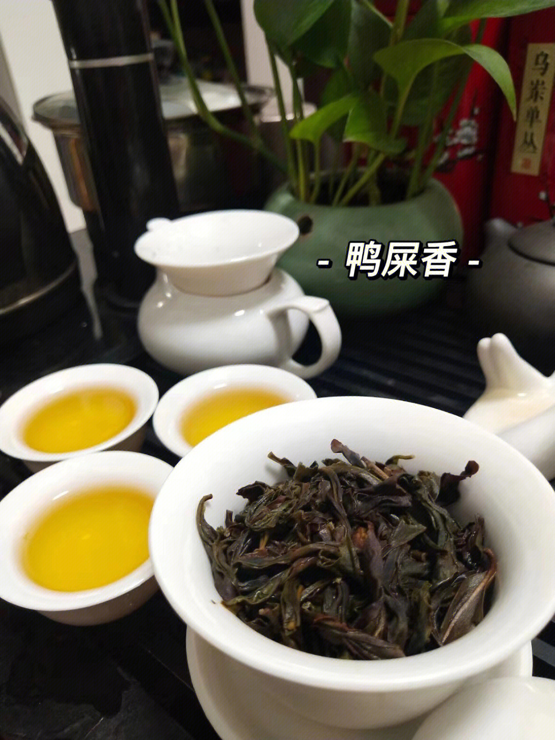 鸭屎香茶叶与鸭屎关系探究，揭秘背后的故事与真相