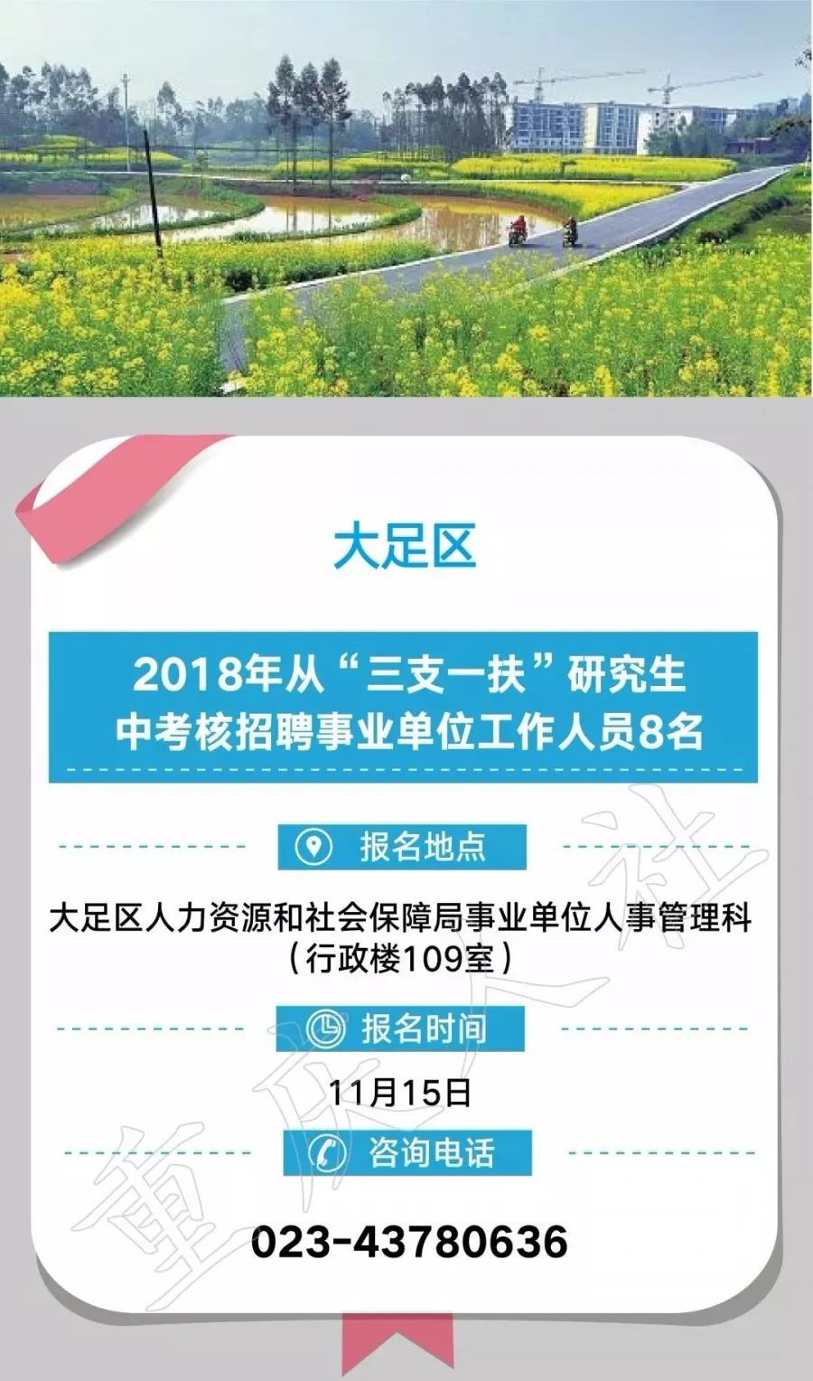 重庆事业单位招聘信息概览与解读（2018年）