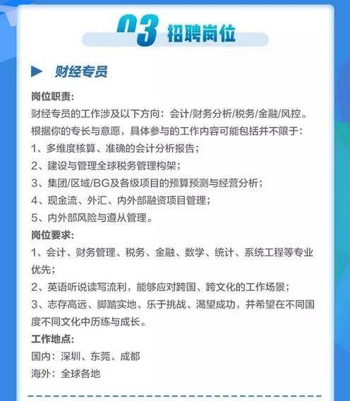 构建高效财务团队的关键要素，财务岗位招聘要求详解