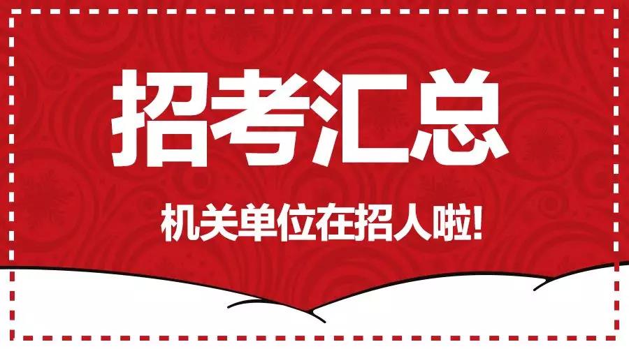 深度解析，公务员法官的待遇及其职业发展探讨