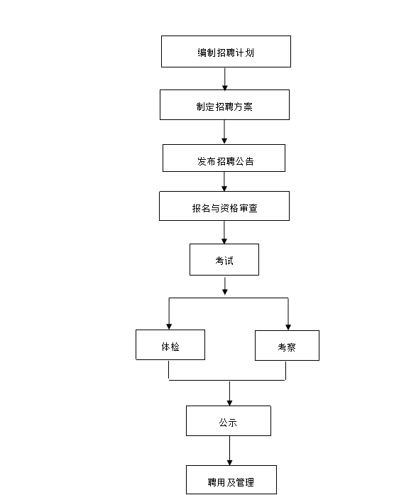 事业单位招聘流程图模板详解与解析