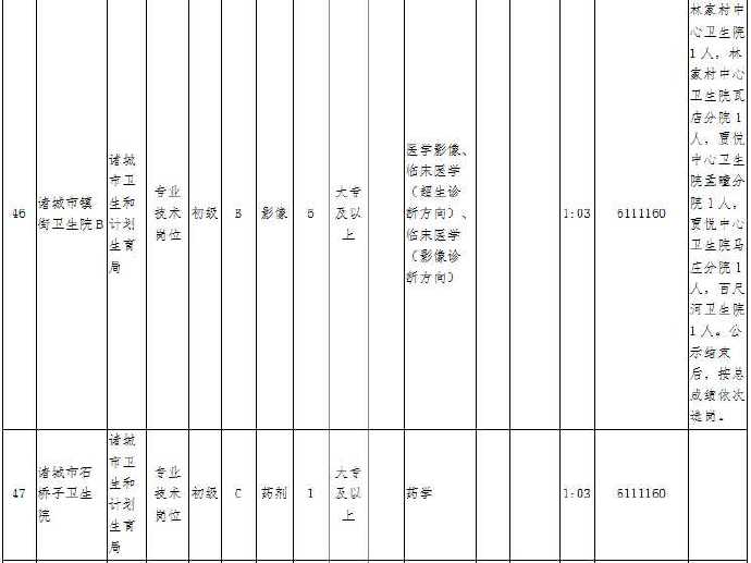 医疗事业单位招聘，人才选拔与医疗事业共进共赢