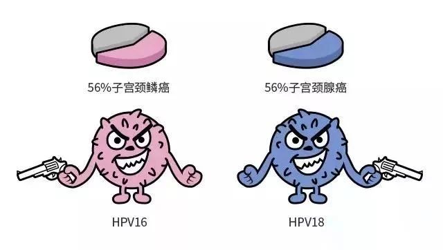 HPV感染到宫颈癌五步演变，深度解析疾病过程与防治策略