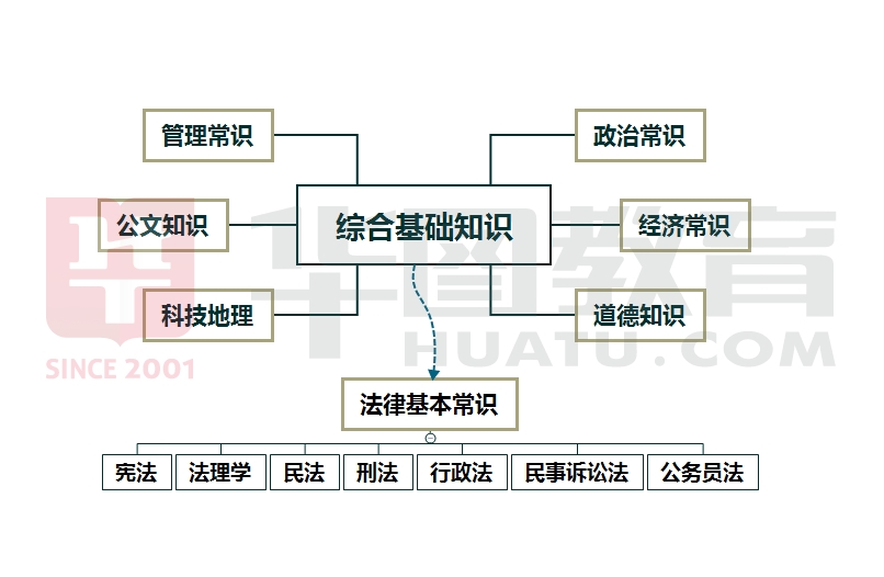 综合基础知识考试要点深度解析