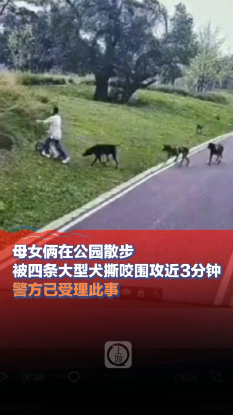 母女公园散步遭恶犬撕咬，法律如何追责狗主人？