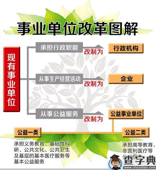 省考事业编与地方事业编的区别与相似性探究