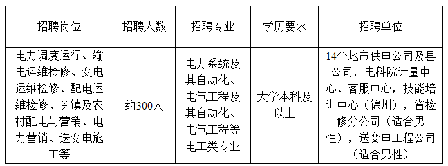 电力事业单位招聘，人才与事业的完美融合之路