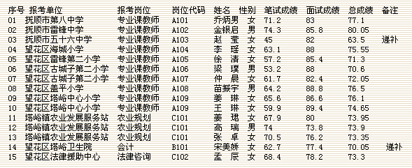 事业编录取之路，选拔与未来展望