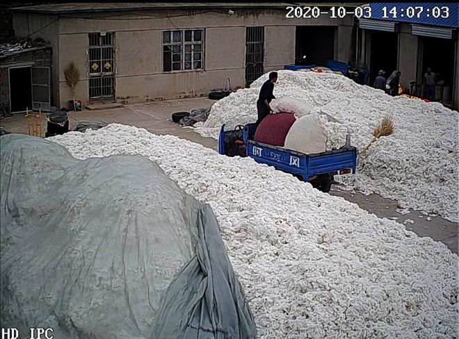 拜登之子豪华住宅遭火灾摧毁，月租两万美元的废墟悲歌