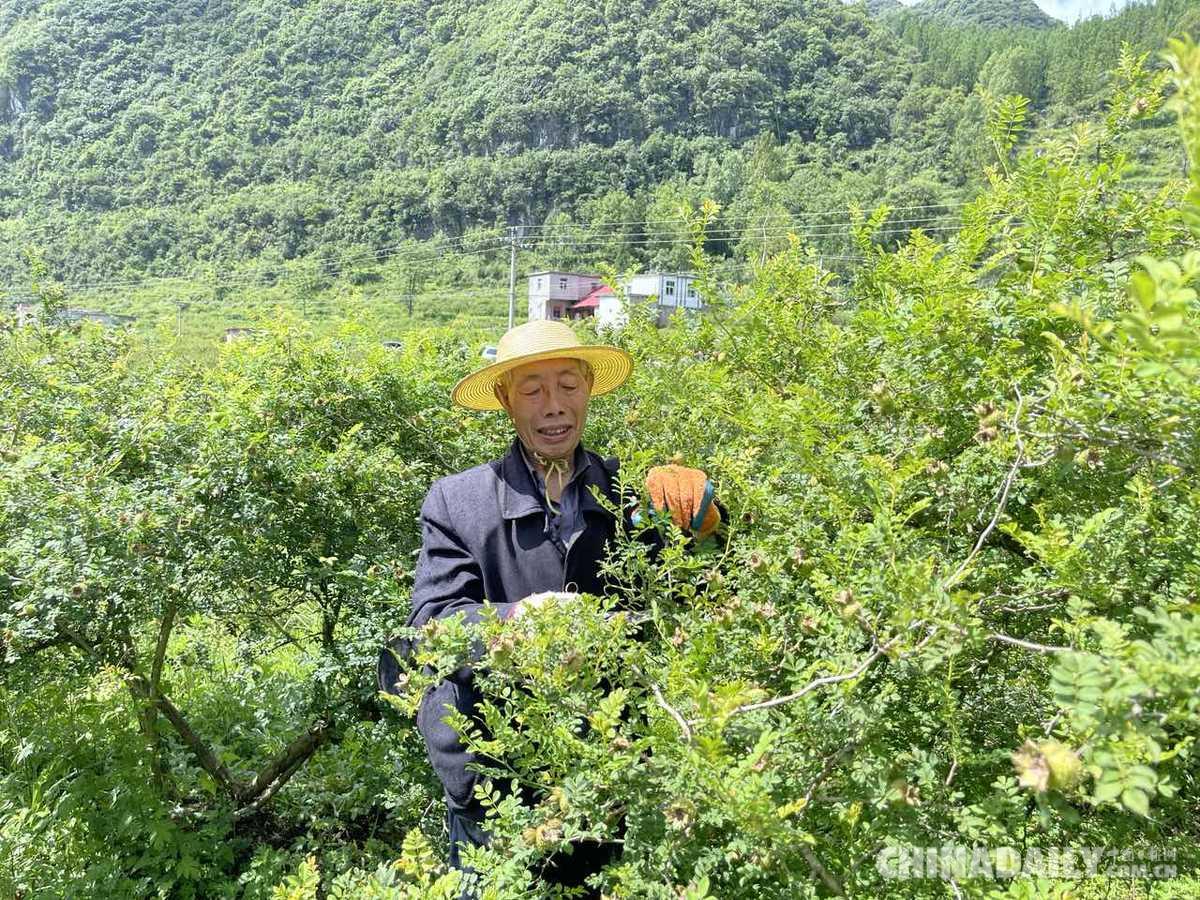 以投资为生的人的生存之道，揭秘投资人的生存策略与智慧